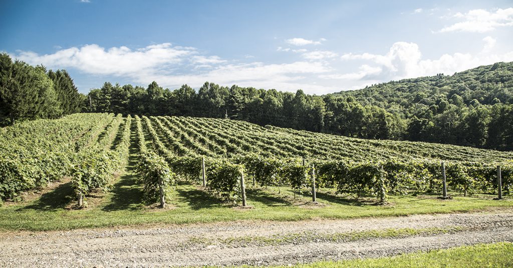 Virginia Living Magazine Recognizes NRV Destinations and Businesses in Best of Virginia 2020 Awards