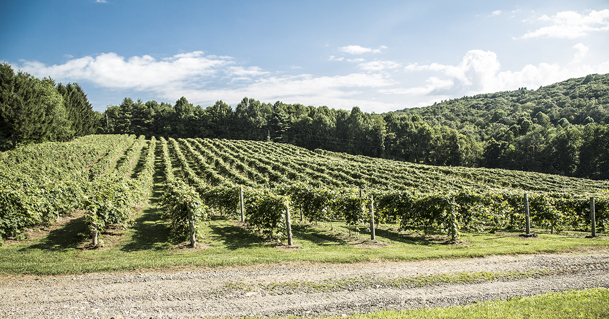 Virginia Living Magazine Recognizes NRV Destinations and Businesses in Best of Virginia 2020 Awards