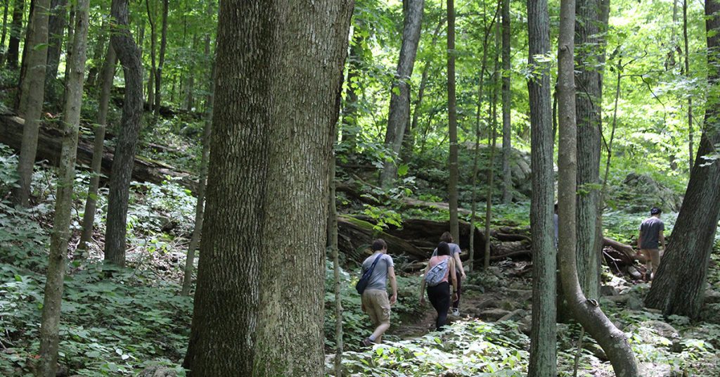 Lesser Known NRV Hiking Trails Featured in The Roanoke Times
