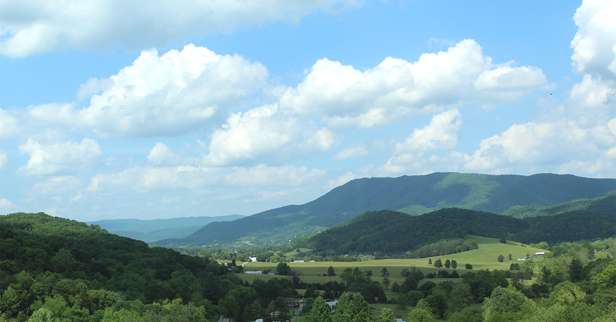 Top Ten Posts of 2020