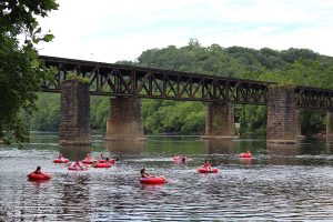 10 Things to Do in the NRV This Summer