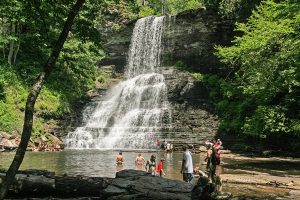 Outdoors in the NRV Cascade Falls