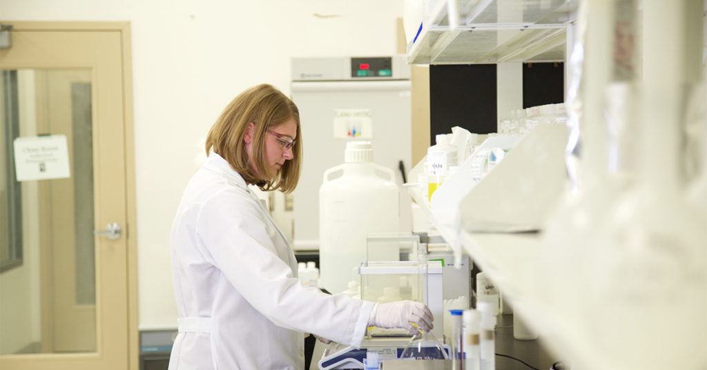 Job Board Launched on Virginia's New River Valley Website