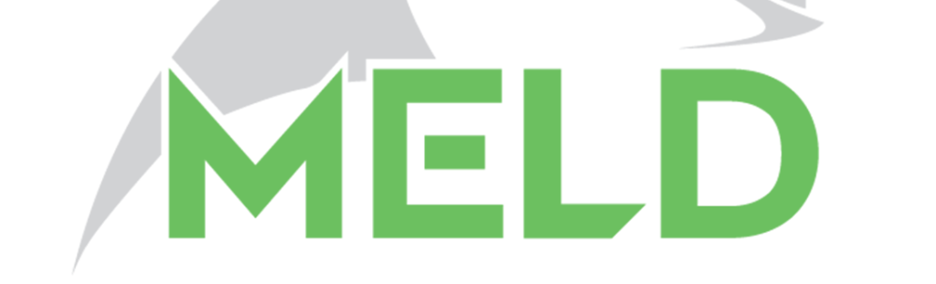 Aeroprobe MELD logo, Virginia's New River Valley