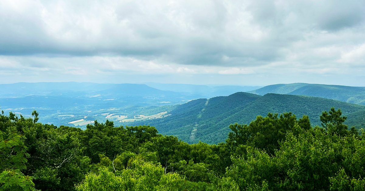 072324 NRV 2024 Top VIrginia Employers for Interns