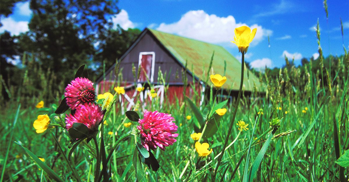 08252023 NRV Wins Multiple Southwest Virginia Tourism Awards