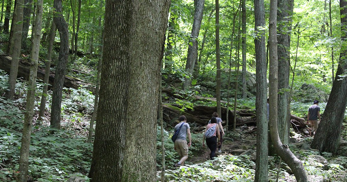 Lesser Known NRV Hiking Trails Featured in The Roanoke Times
