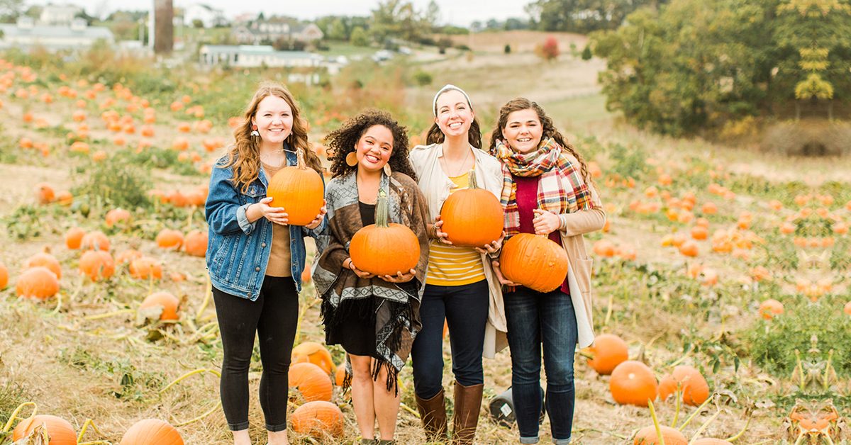 100724 Sinkland Farms Ranks as USA Today’s 10Best