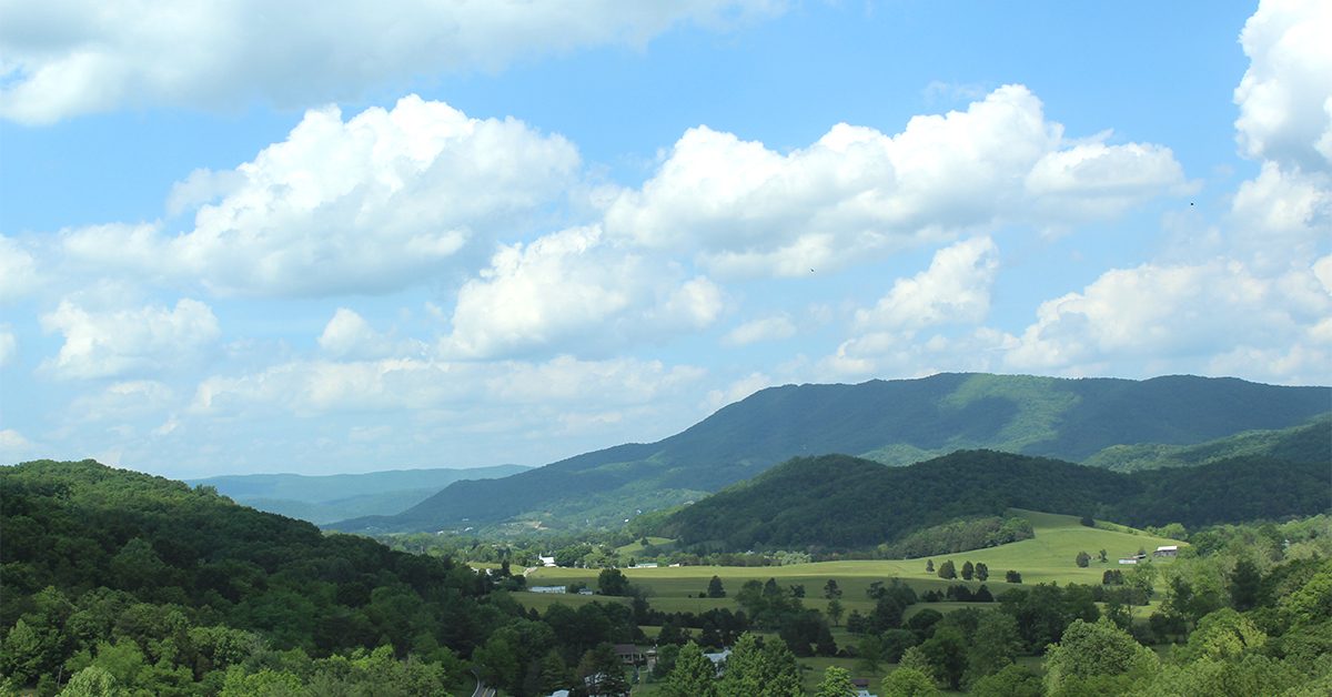 Top Ten Posts of 2020