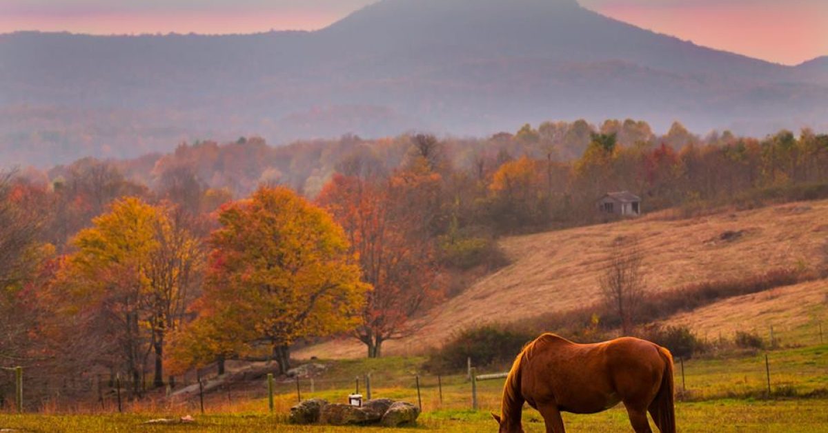 Fall-2016-PHOTO-CREDIT-Gene-Dalton-on-FB-Nov-2-2016