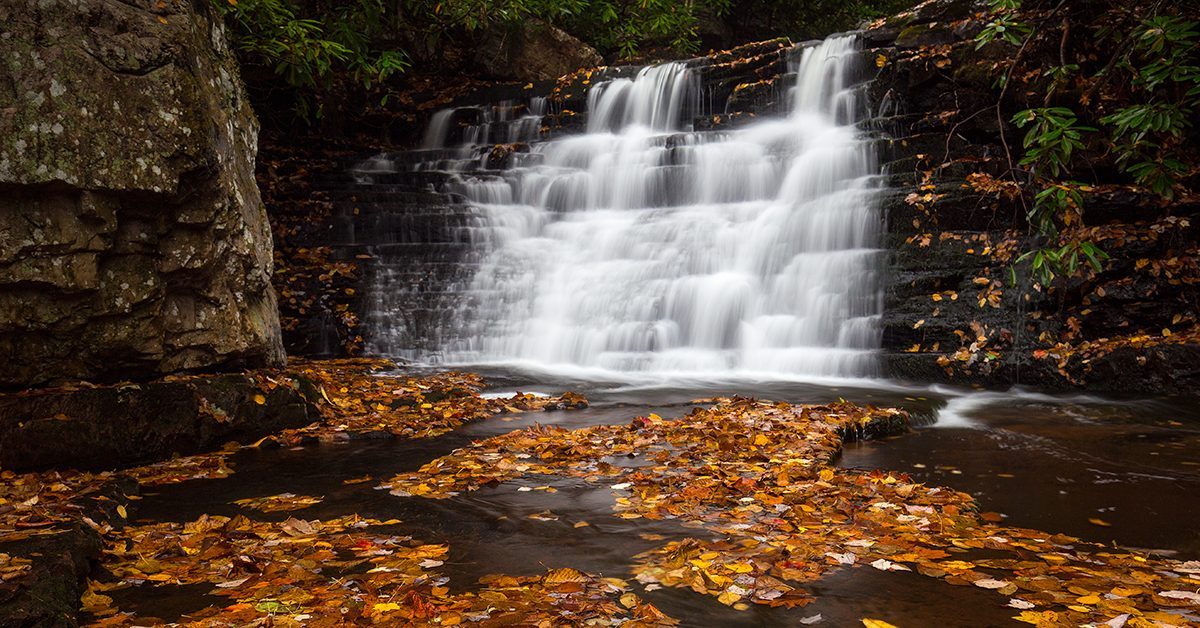 Photo Credit: Jeremy Rife