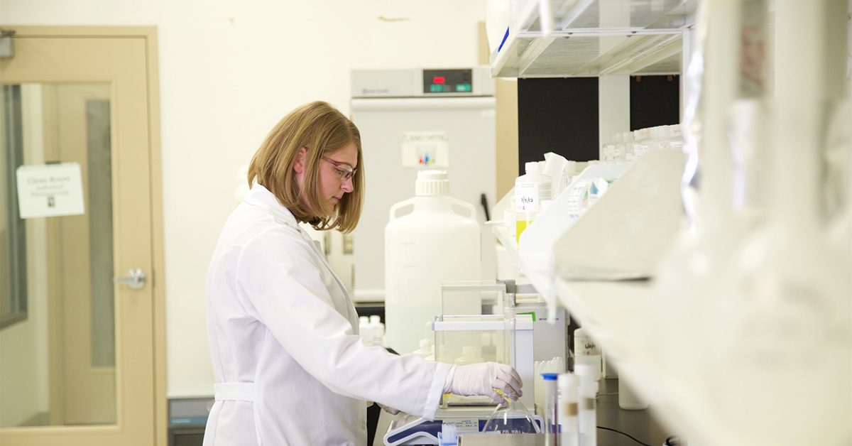 Job Board Launched on Virginia's New River Valley Website