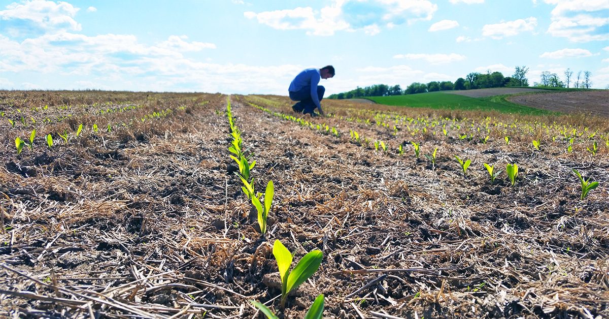 VT Agribusiness Featured In Valley Buisness Front v2