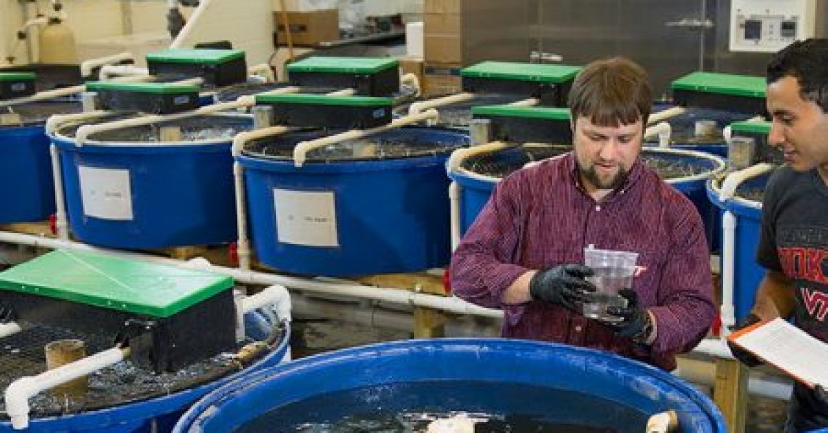 Virginia-Tech-Top-100-by-National-Academy-of-Inventors-450x450