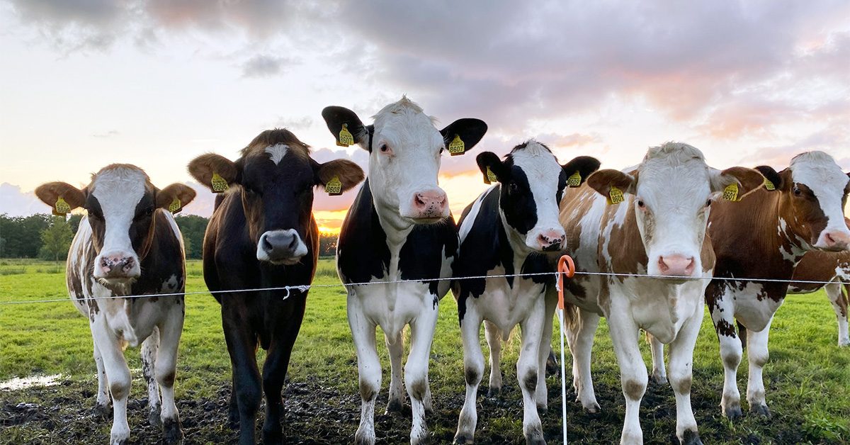 pexels-melle-9663310 blog